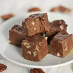 Turtle-Fudge-Bite