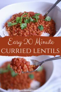 Curried Lentils long pin