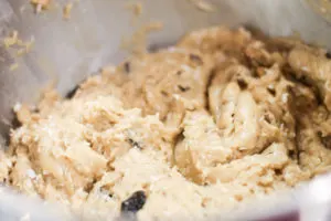 Fruit Muffin Batter in stainless mixing bowl