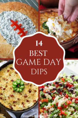 14 of The Greatest Game Day Dips - The Olive Blogger